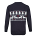 CCM Holiday Ugly Sweater Pulóver
